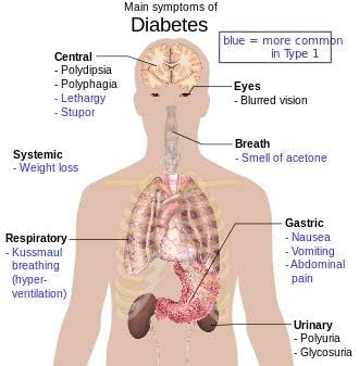 Natural Herbal Diabetic Patch